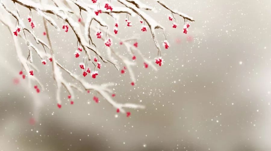 十首小雪诗词：小雪飘扬，一片飞来一片寒