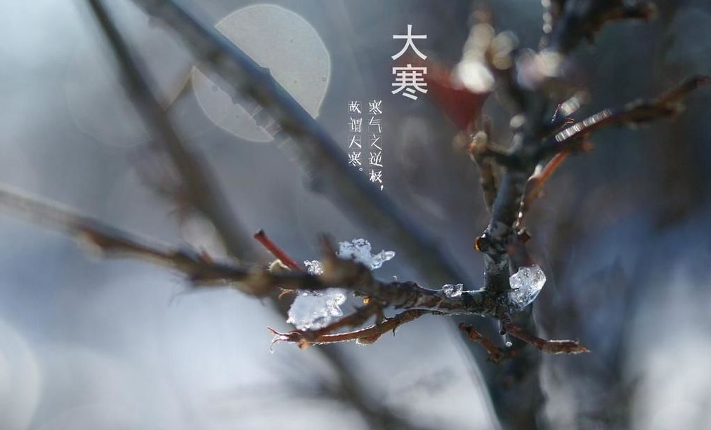 「诗词鉴赏」古诗词里的大寒，品味那些藏在古诗词中的冬寒之美