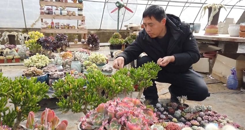 圖片