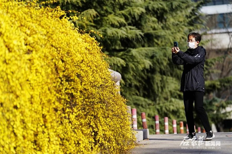 枝头.jpg