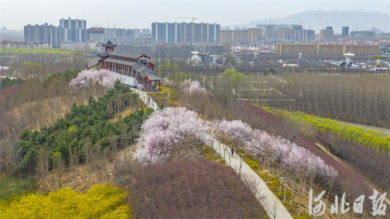河北石家庄：环城绿道 拥抱春天3.jpg