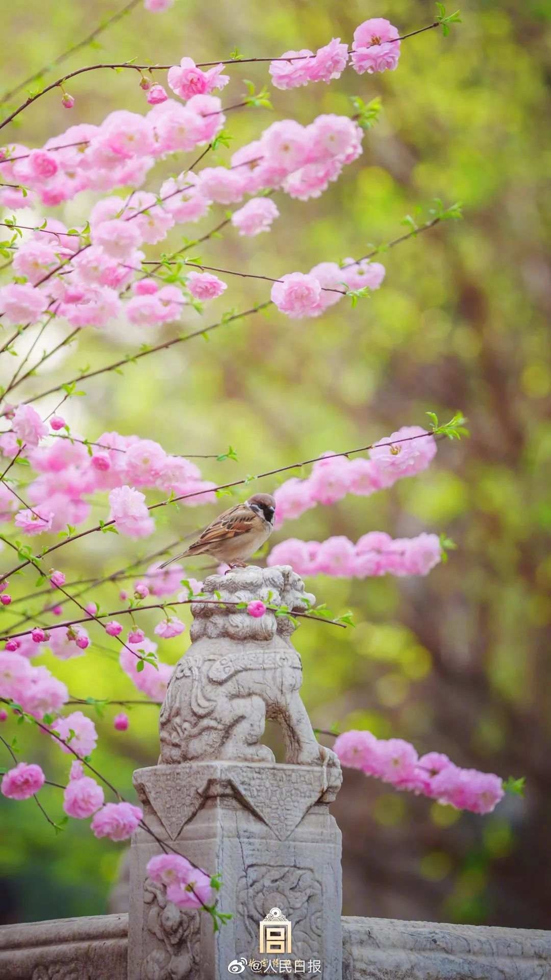 0033ImPzly1hcyyfehyz5j60u01hcteo02.jpg?x-oss-process=style/w10