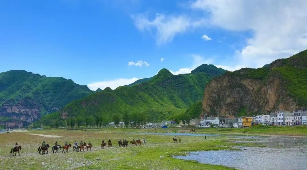 旅游搭子2.png