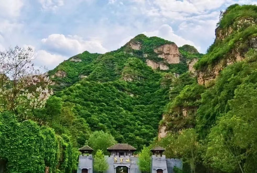 旅游搭子1.png