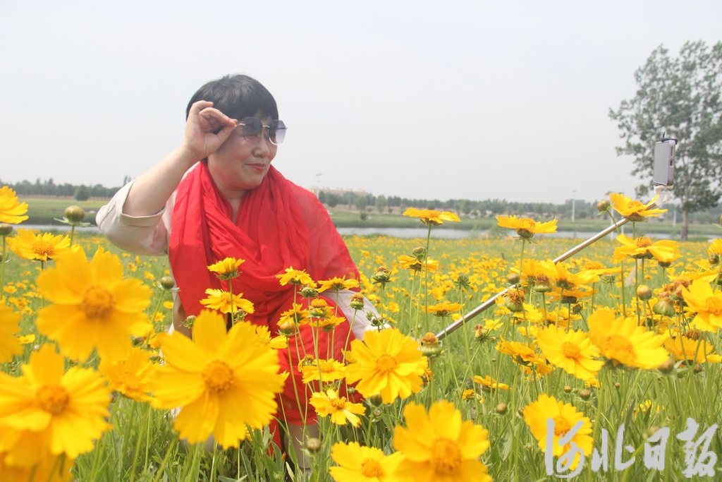 5月15日，游客在河北省新乐市磁河湿地河岸边花丛中拍照。 (3).jpg