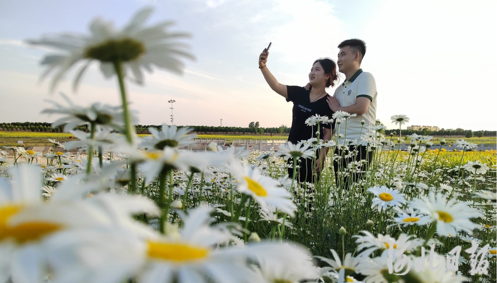 5月15日，游客在河北省新乐市磁河湿地河岸边花丛中拍照。.png