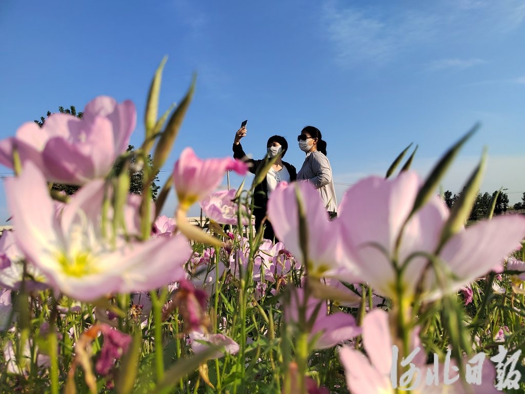 2025年5月15日，游客在河北省新乐市磁河湿地河岸边花丛中拍照。.jpg
