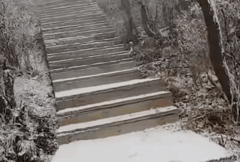 Oct-22-2025 11-26-25.gif