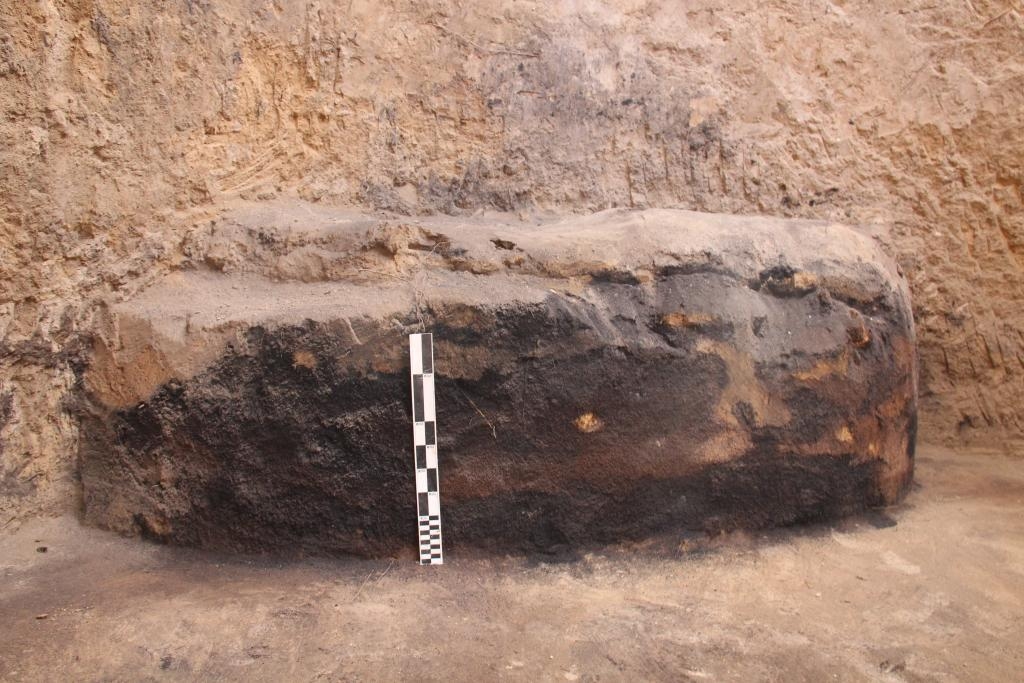 这是罗家河遗址发现的碳化物遗存。(咸阳市文物考古研究所供图)