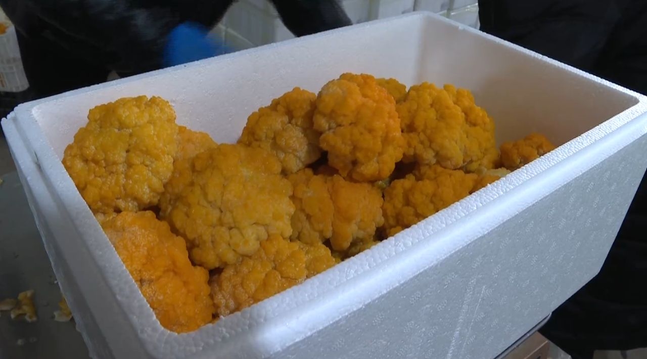 1765848077876025607.png image.png