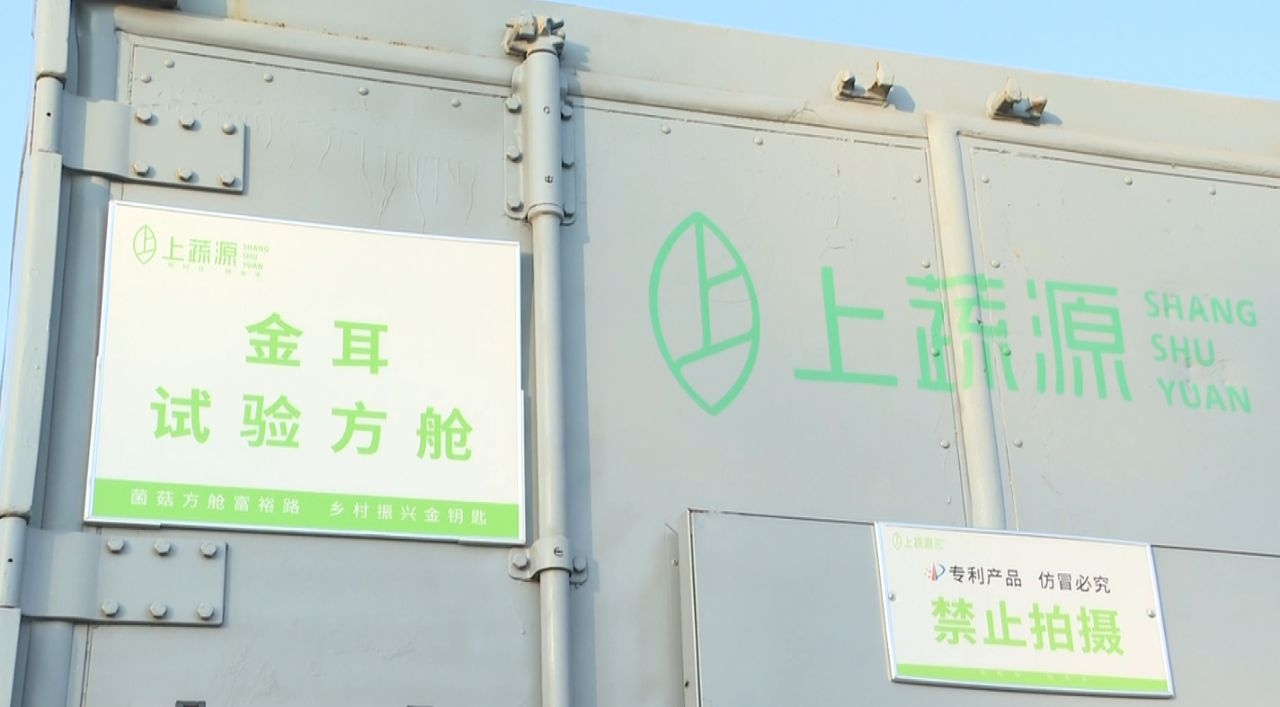 1765847725498057229.png image.png